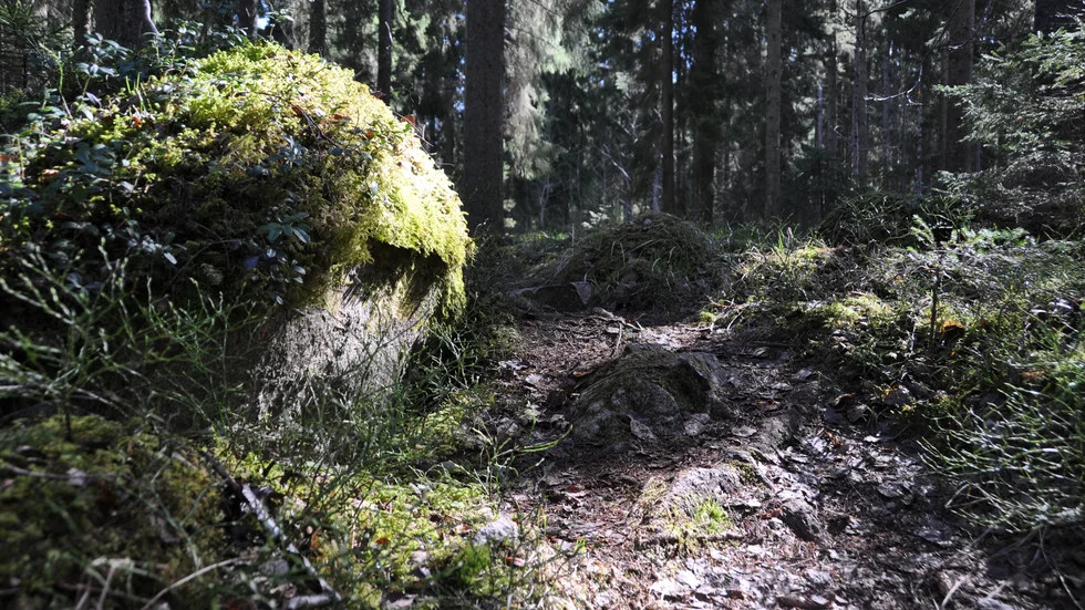 Ska bara jägarna kunna vistas i naturen?