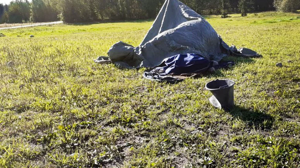 Två hästar låg döda i en hage i Heby kommun i en vecka. Om SVA:s preliminära besked står sig stryks djurplågeri som brottsrubricering.