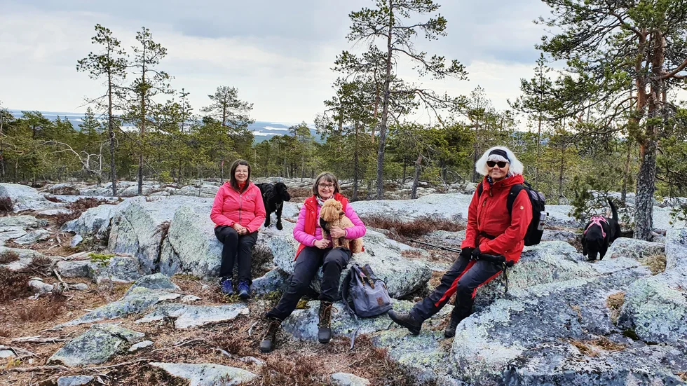 "Top-kortet har gett mig så mycket, nya vänner och fantastiskt fina naturupplevelser", säger Susanne Årnell (i mitten). Här med vännerna Kerstin Lindbäck, till vänster, och Birgitta Wellborg, på Stor-Råberget.