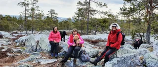 Utmaning med siktet mot toppen
