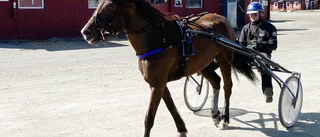 Holter Oda klar för ny stor final