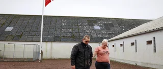 Danska minkuppfödare erbjuds 19 miljarder