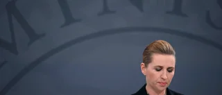 Experter avrådde från en stängning av Danmark