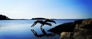 Sista chansen att rösta på bästa sommarbilden