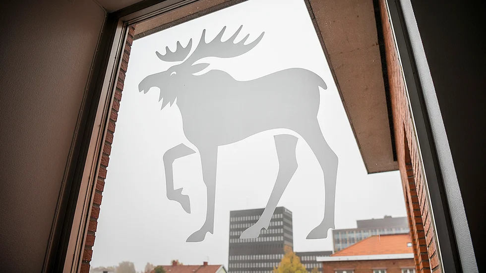 Skribenten tycker att det digitala flödet av nyheter kan bli för stort.