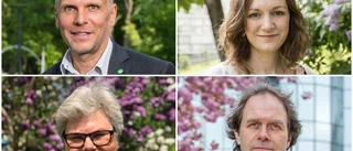 Tuffa åtgärder krävs för att klara klimatmålen