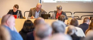 Fransson: "Digitalt fullmäktige helt utan strul"