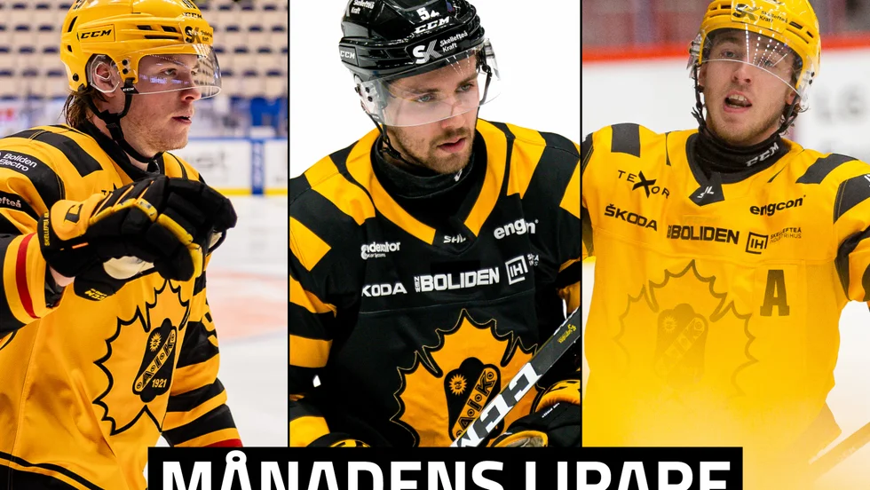 Rickard Hugg, Arvid Lundberg och Andreas Wingerli är tre av fem kandidater till månadens lirare i Skellefteå AIK. 