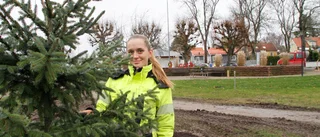 Kommunen bygger upp julstämning mitt under mörk period
