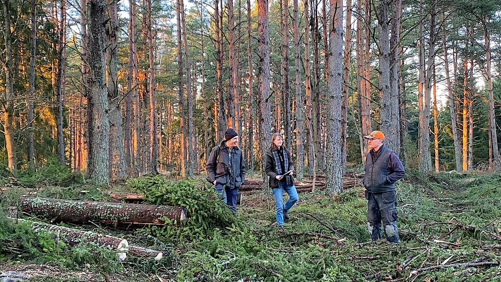 Äganderätten är en fråga som oroar många skogsägare men viljan att köpa mer skog är ändå stor. Erik Lundin i Vallby besöker en avverkning tillsammans med Martin Odensten och Erika Hellstrand från konsultföretaget Ludvig & Co.