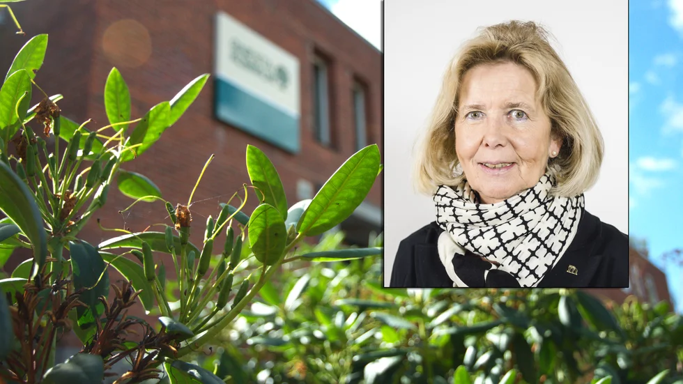 Socialnämndens ordförande Ingrid Jerneborg Glimne (M) säger att det finns gott om bostäder i en del av våra grannkommuner. Hon vill alltså att vi ska medverka till just det som bosättningslagen försökte motverka, skriver Lena Staaf (V).