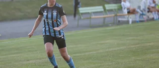 Förslag på hur fotbollsserierna ska se ut