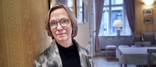 Chefsekonomen: Räkna med lång resa tillbaka