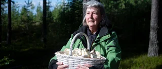 Smakrika fynd på helgens svampkurs