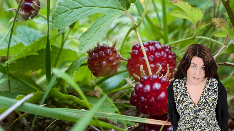 Krönikören skriver om smaker från barndomens somrar.