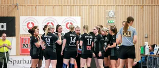 "Kan vara precis det här Boden Handboll behöver"