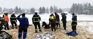 Hästar gick genom isen i Villvattnet – bybor och räddningstjänst ryckte in: ”De är räddade”