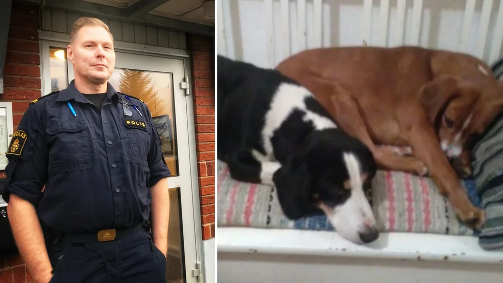 Det kan bli svårt att hitta de försvunna hundarna igen eftersom polisen har så lite att gå på, berättar Bengt Eriksson, kommunpolis i Östhammar.