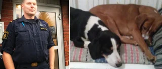 Polisen om de försvunna hundarna: "Inget att gå på"