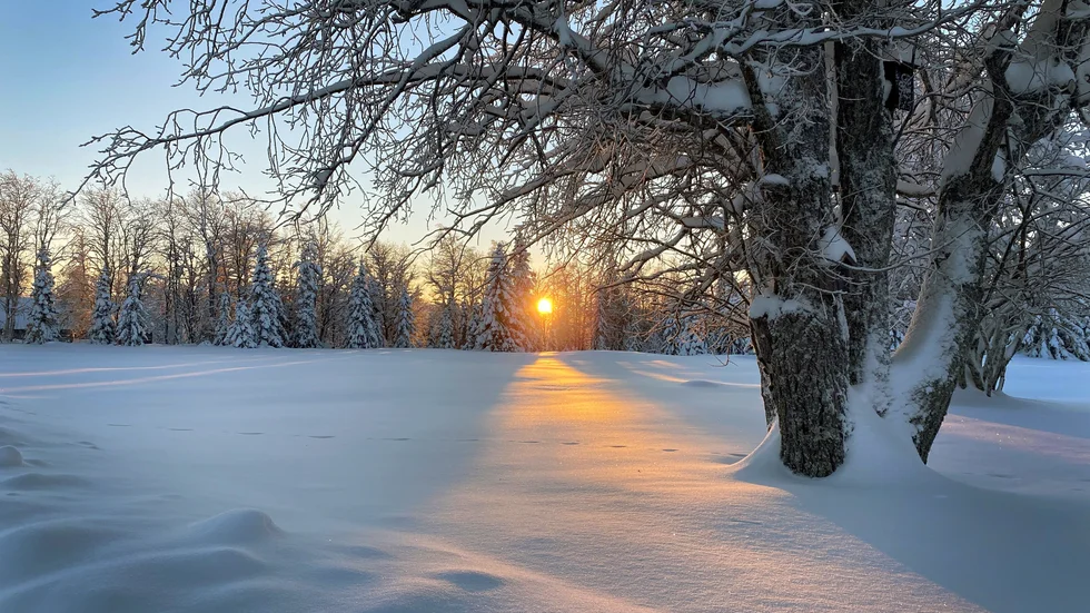 Äntligen kikar solen fram!