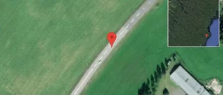 Renar på vägen på E4