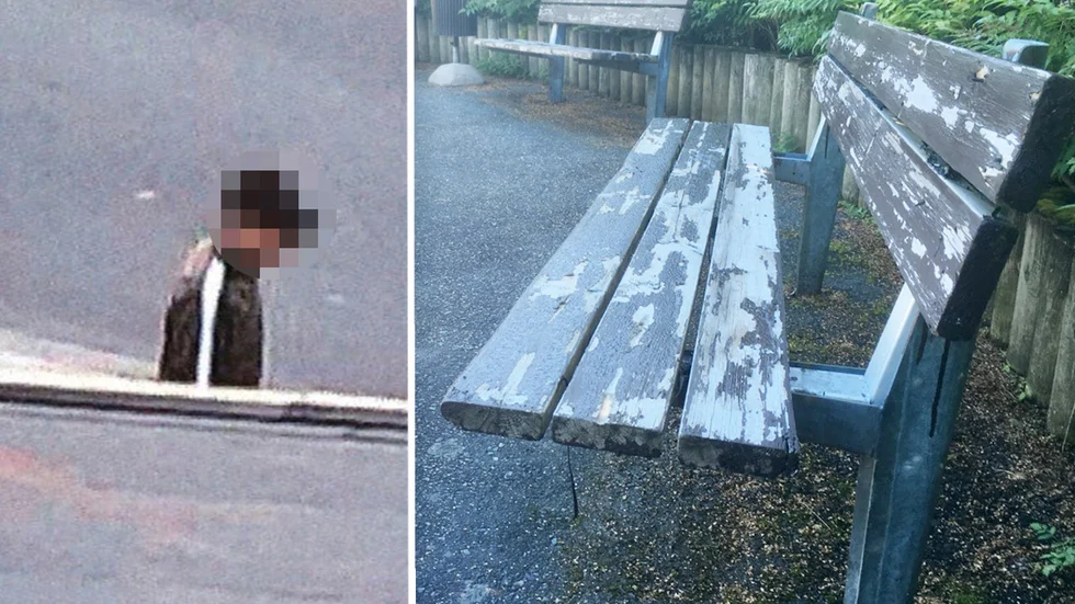 Den flyende rånaren fångades på bild efter att kvinnan i rullstolen attackerats intill en bänk på Nordanåområdet.