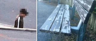 Ung man rånade rullstolsburen kvinna i Skellefteå: ”Hon var ju försvarslös”