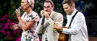 Gitarrist får nyinrättat musikstipendium