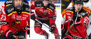 Bulans löfte: Splittrar inte Luleå Hockeys succékedja