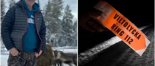 Trafikdödade djur ett hårt slag för renskötarna: ”En psykosocial kollaps”