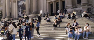 Amerikanska museer säljer av konst