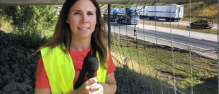 Reportern: "Köerna står helt stilla på E4:an"