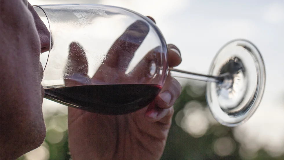 En ny studie visar att ett glas rödvin ger lägre blodsocker och stillar hungern mer än alkoholfritt vin. Arkivbild.