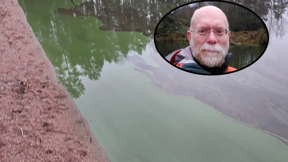 Leif Andersson fotograferade algerna vid sjön Yngaren. Och Jerry Persson (infälld) är vattenrådgivare på Nyköpingsåarnas Vattenvårdsförbund.