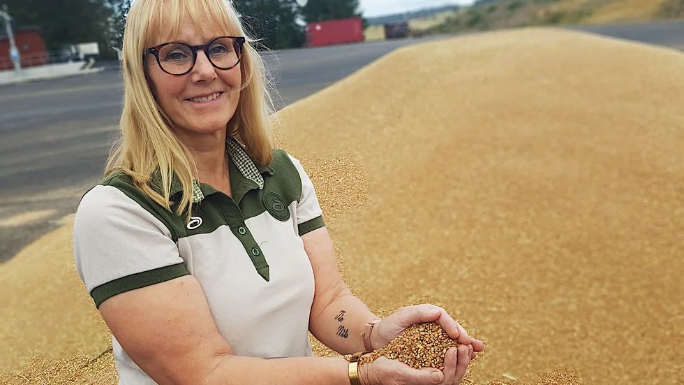 Årets spannmålsskörd ser fin ut både till kvalitet och kvantitet. “Troligen blir skörden i år lika intesiv som förra året, grödorna går mer i varandra”, säger Cathrine Wallin, regionchef vid Lantmännen lantbruk.