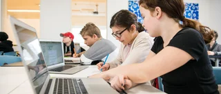 Byn blomstrar tack vare friskolan