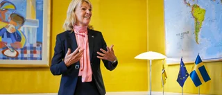 Hallberg om Brexit: Kan inte luta sig tillbaka