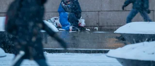 Utred EU-migranters behov av arbetsmarknadsstöd