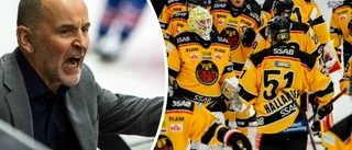 Nyckeln bakom Luleås seger: "En lyckad scouting"