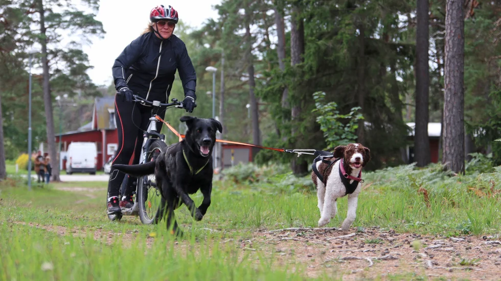 Katrin Björkdahl med Ester och Alma.