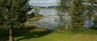 Närvaro på minneslunden i Poikkijärvi