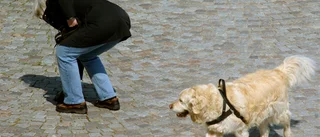 Därför blir det inte fler hundbajslatriner