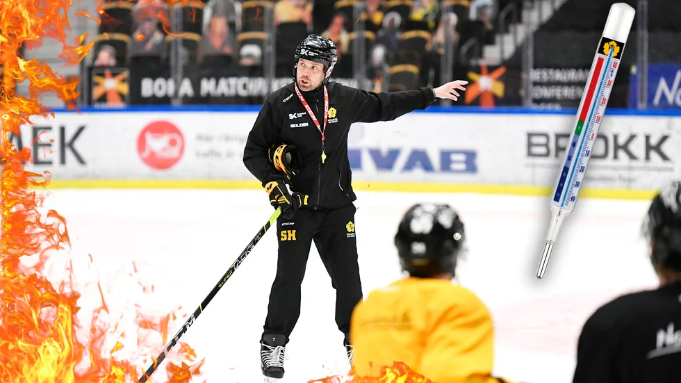 Stefan Hedlund
