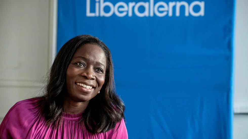 Liberalernas Nyamko Sabuni ska både hyllas och ges beröm. För att hon är så förnuftig och värnar om vår demokrati i Sverige. Skriver Peter Skoglund.