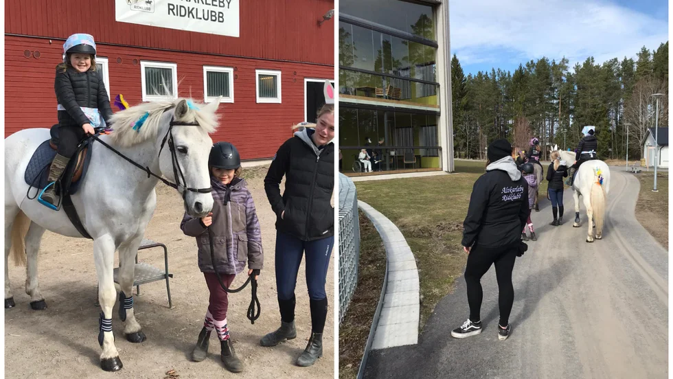 Älvkarleby ridklubb besöker Tallmon. 