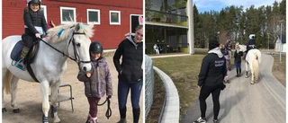 Harar, hästar och påskkäringar besökte Tallmon