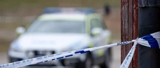 Det behövs fler poliser i Sverige