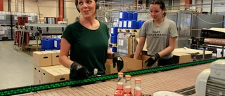 Trendiga vindrycken flyttar produktionen till Älvsbyn: "En italienare gifter sig med Norrland"
