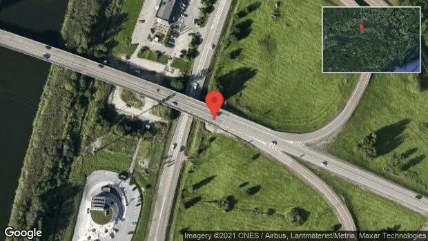 Älgar på vägen på E20