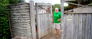 Gertrud, 69, är en av alla pensionärer som inte slutar jobba - Veteranpoolen behöver ännu fler